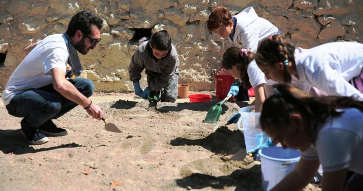 Archaeological Excavation Workshop