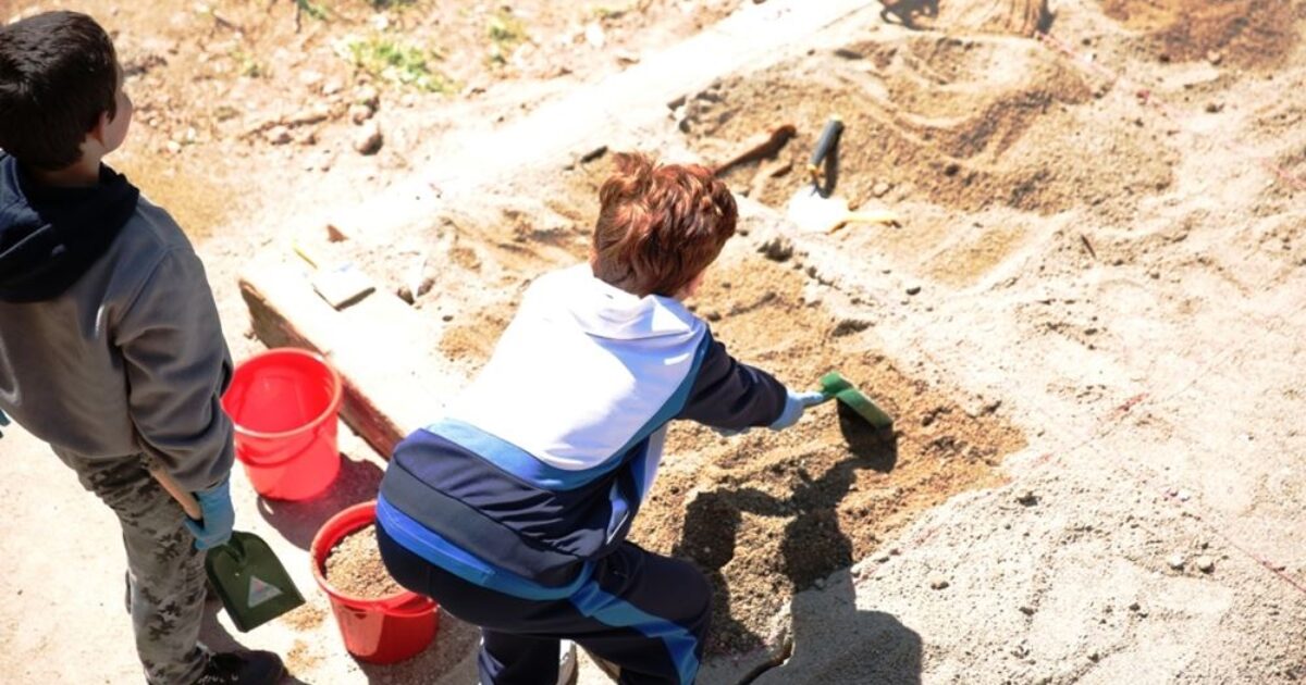 Archaeological Excavation Workshop