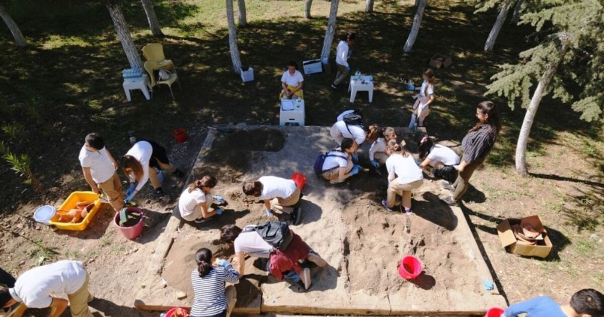 Archaeological Excavation Workshop