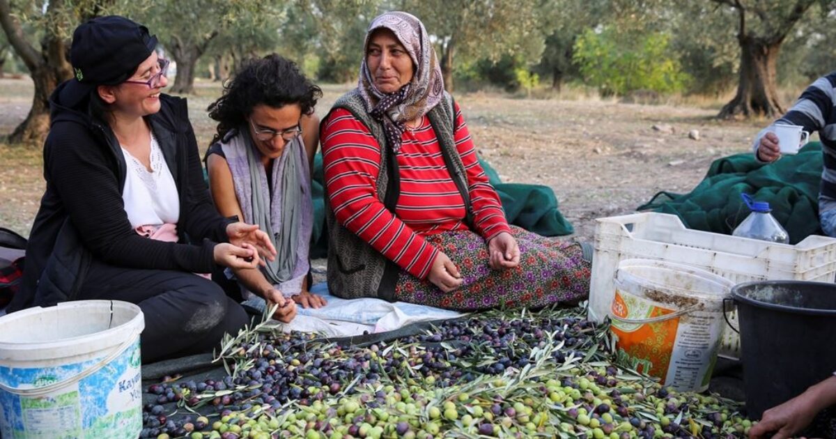 Nezaket Ekici, Şimdiden Geçmişe