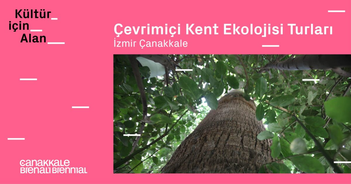 İzmir - Çanakkale Kent Ekolojisi Turları