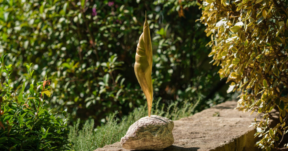 _DSF9585